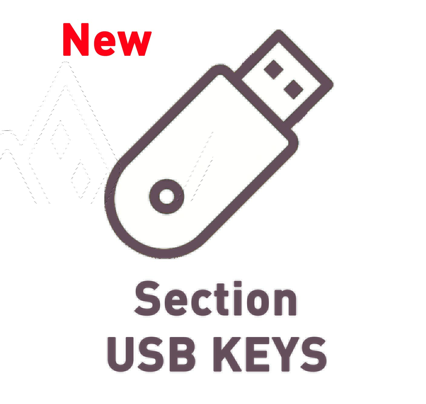 USB KEYS